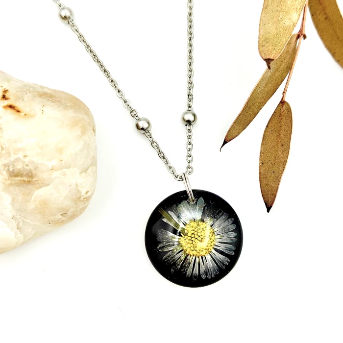 Sedmokráska na čiernom