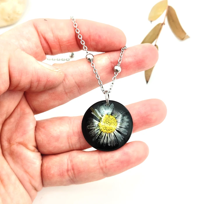 Sedmokráska na čiernom